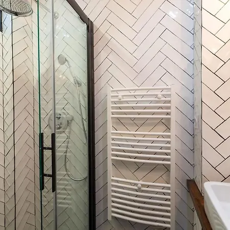 Contemporain Renove Dans Le Centre De Apartment